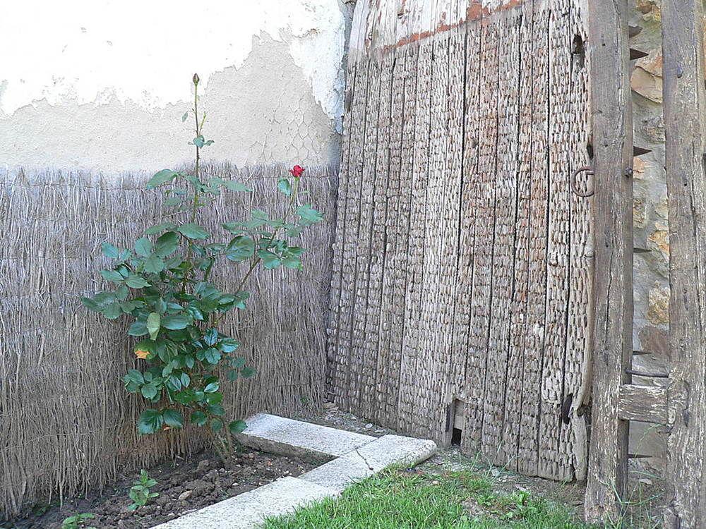 Majada Palentina Konuk evi Villanueva de Arriba Dış mekan fotoğraf